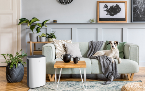 Осушитель воздуха серии CARISMA Loft RD-CR20-E